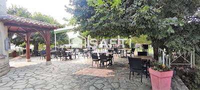 Local commercial - 644 m² - 13 pièces