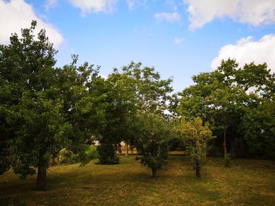 Maison - 171 m² - 5 pièces