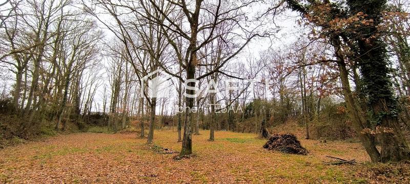 Maison - 157 m² - 6 pièces