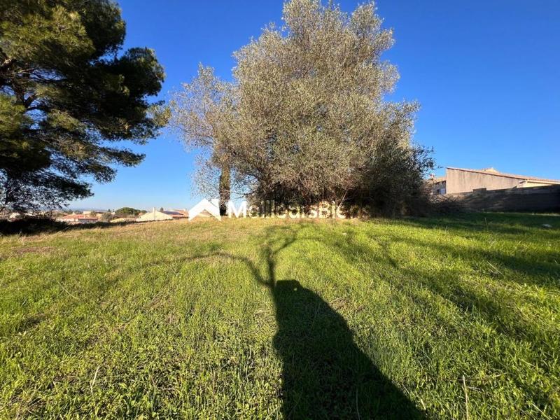 Terrain constructible - 1 030 m²