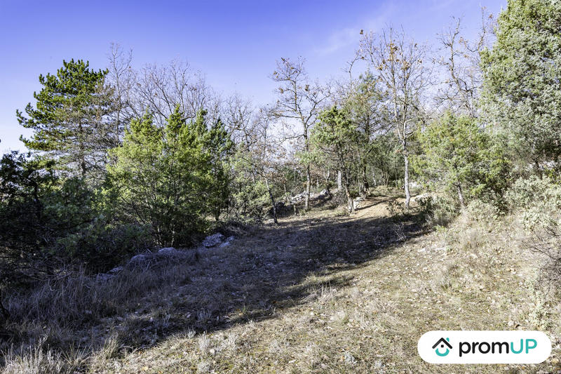 Terrain de loisirs - 28 250 m²