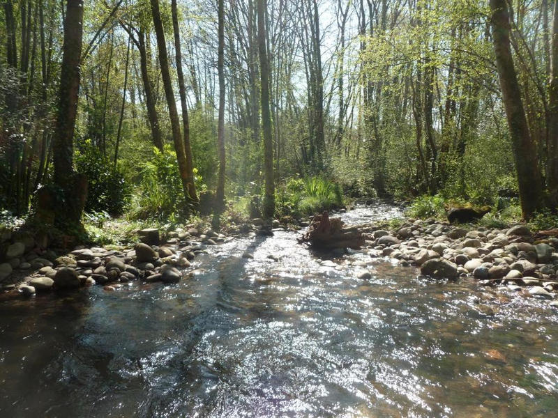 Maison - 168 m² - 6 pièces