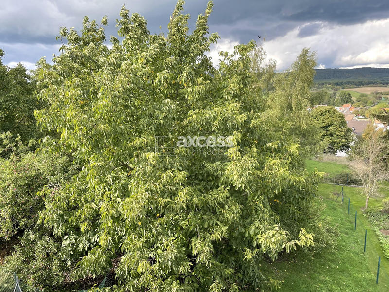 Maison traditionnelle - 145 m² - 5 pièces