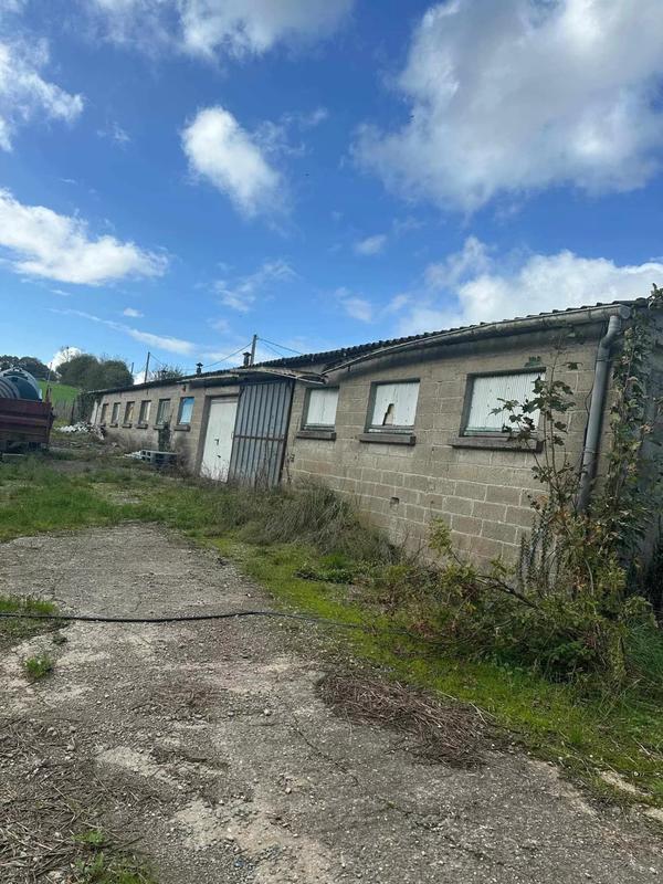 Hangar - 325 m² - 2 pièces