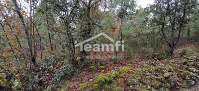 Terrain agricole - 14 279 m²