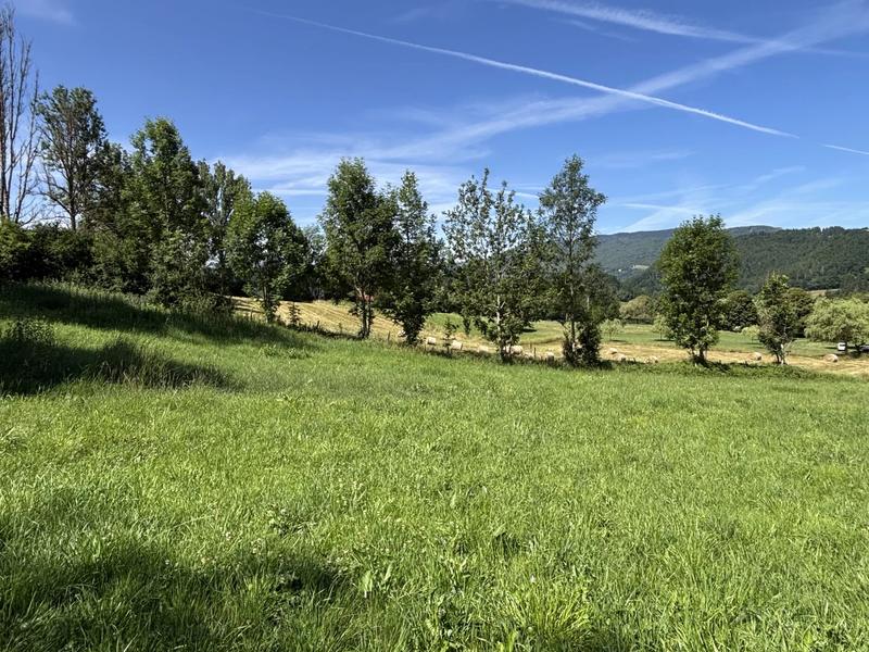 Terrain constructible - 1 981 m²