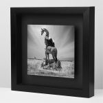 Galerie Photo-Originale