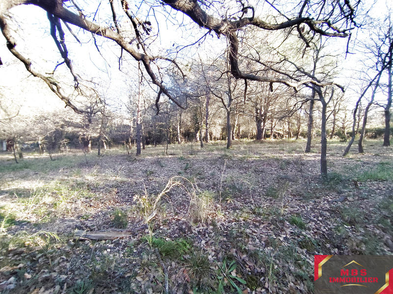 Terrain agricole - 3 705 m²