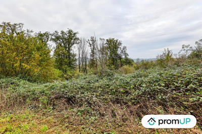 Terrain - 17 000 m²