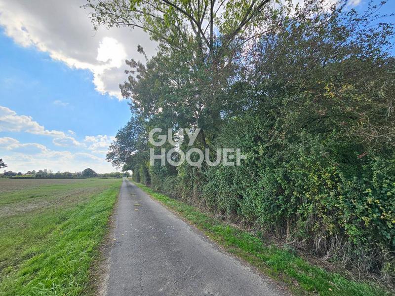 Terrain de loisirs - 6 080 m²