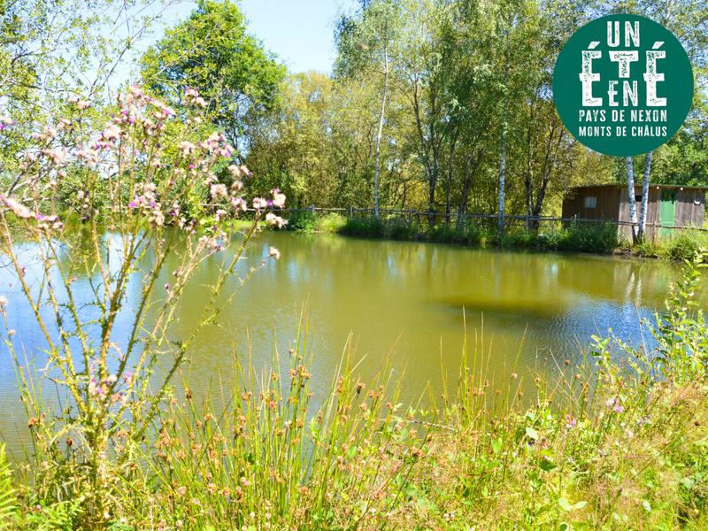 Sortie nature - la princesse et la grenouille