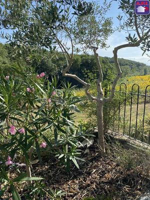 Maison - 195 m² - 7 pièces