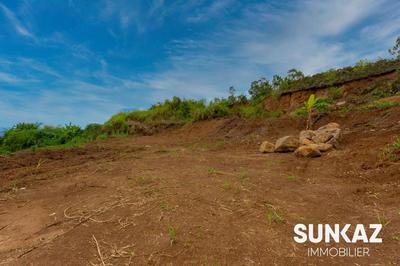 Terrain constructible - 365 m²