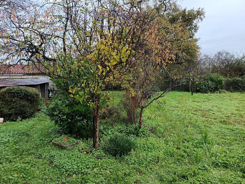 Maison - 77 m² - 3 pièces