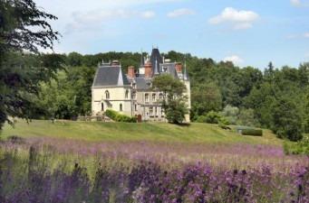 Manoir - 800 m² - 150 pièces