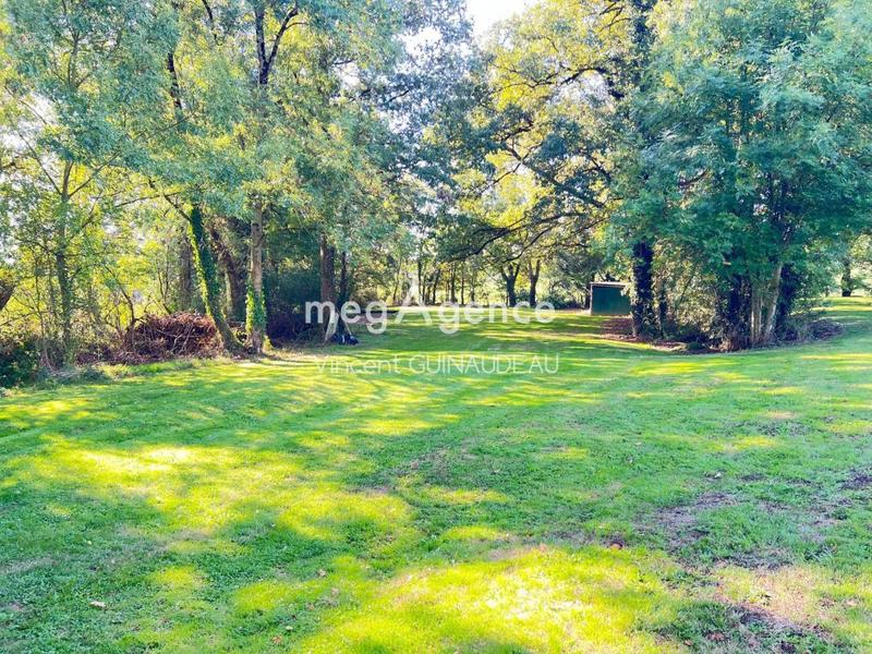 Terrain de loisirs - 9 232 m²