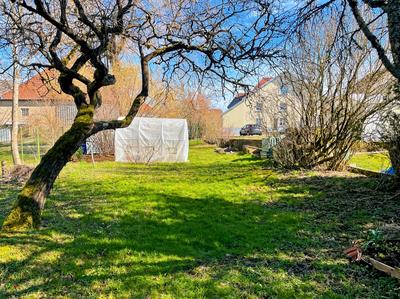 Viager - Maison traditionnelle - 162 m² - 7 pièces