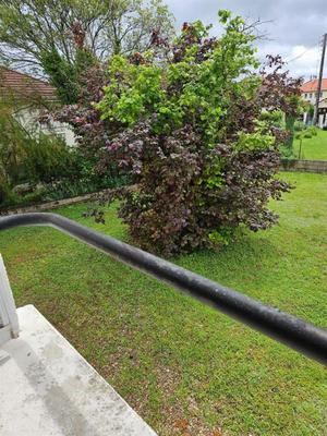 Pavillon - 63 m² - 3 pièces