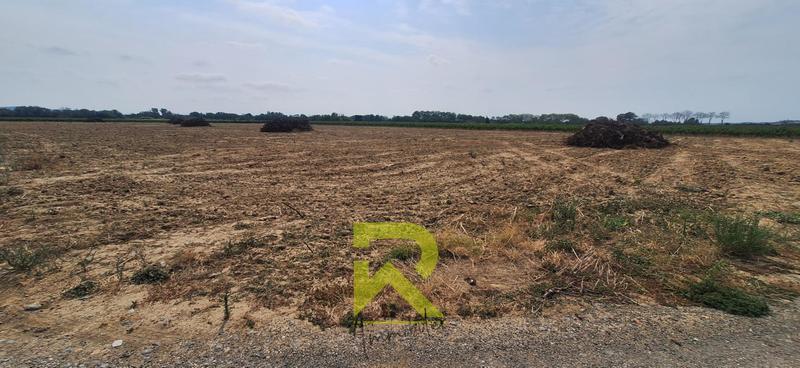 Terrain agricole - 19 800 m²