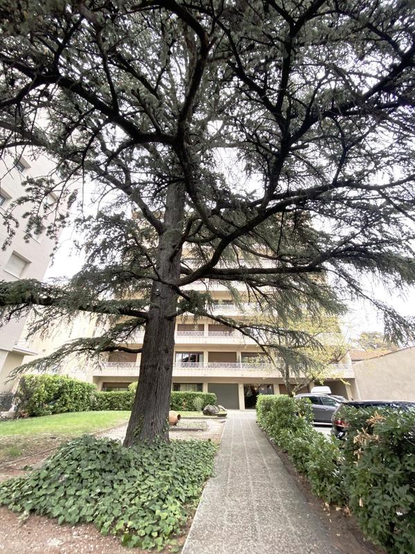 Appartement - 115 m² - 5 pièces