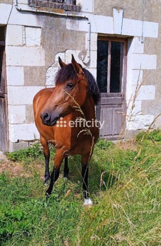 Maison de campagne - 104 m² - 2 pièces