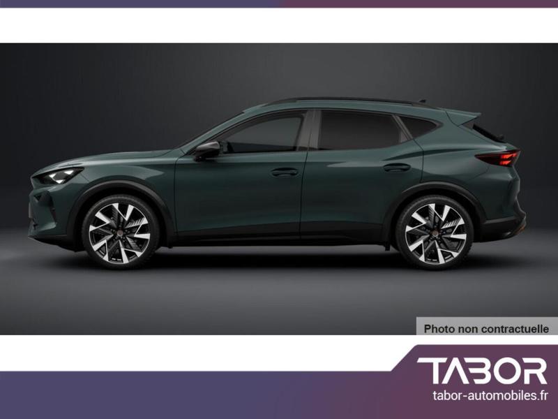 Cupra Formentor Tdi 150 Dsg Nav IntelliD 19p