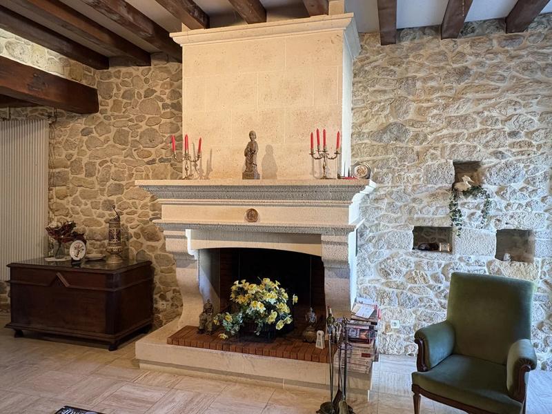 Viager - Maison - 364 m² - 6 pièces