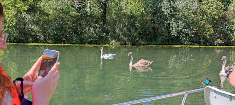 Promenades en barques sur le Giessen