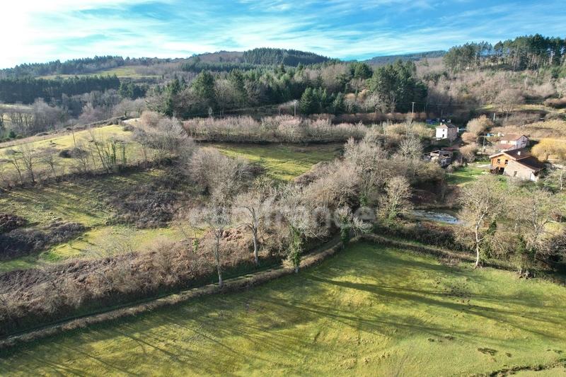 Maison en pierre - 220 m² - 8 pièces