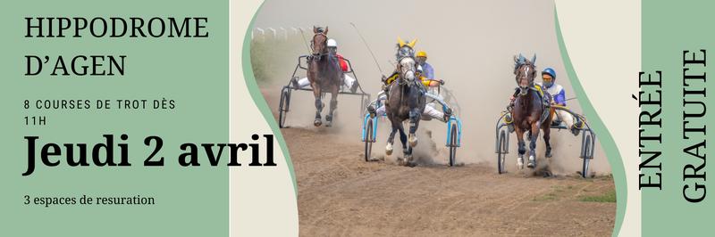 Spectacle de courses de chevaux