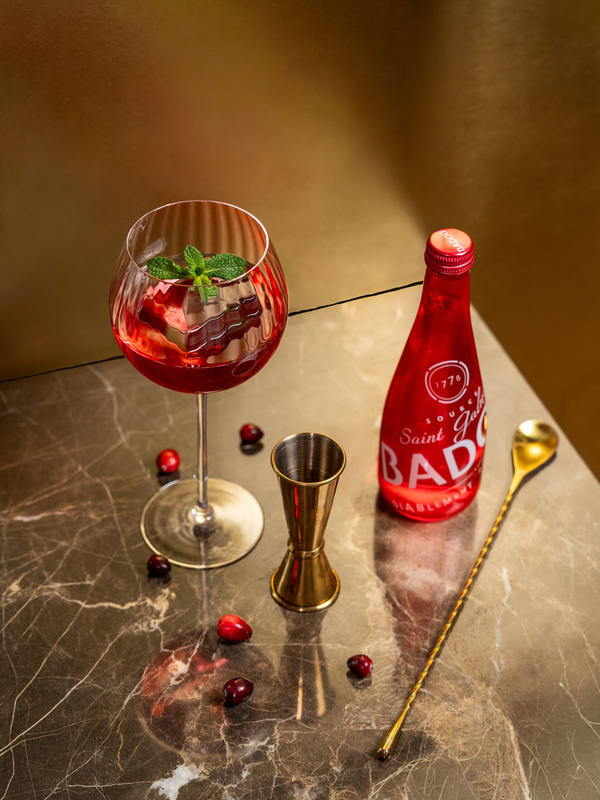 Les Résidences Mix &amp; Mix par Badoit Rouge arrivent à Bordeaux