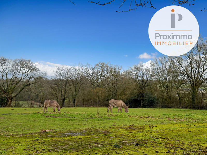 Maison - 184 m² - 7 pièces