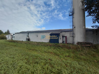 Local d'activités - 1 800 m²