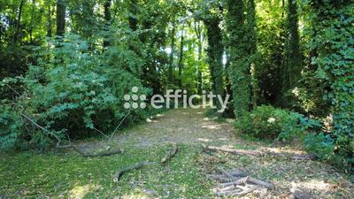 Maison en pierre - 450 m² - 17 pièces