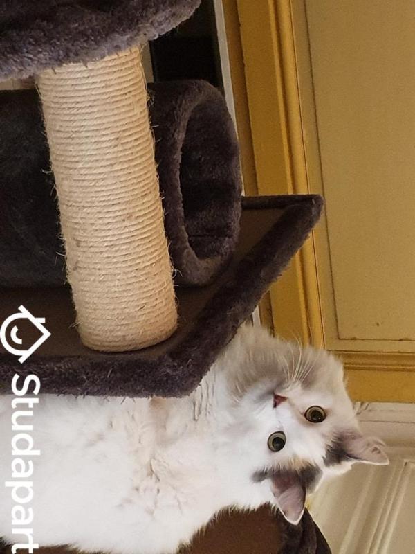 Chambre - 14 m² - 1 pièce