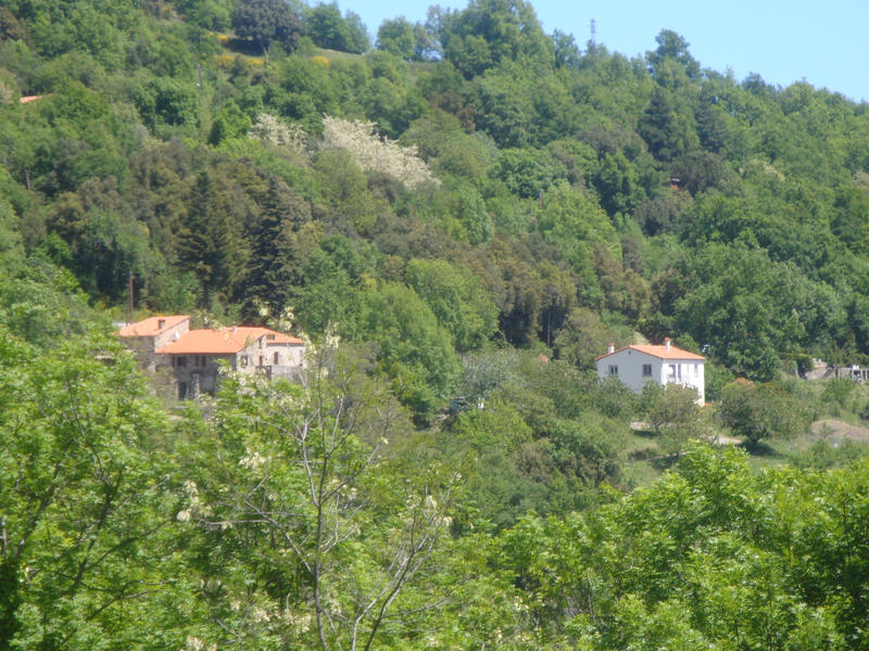 Mas - 230 m² - 14 pièces