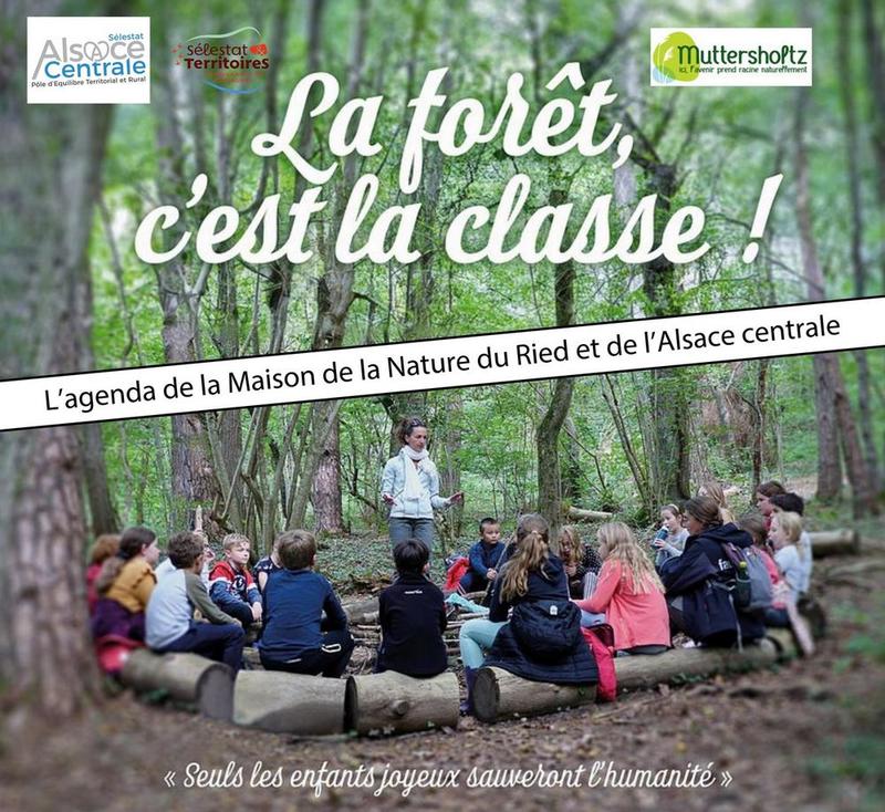 Film : la forêt c'est la classe