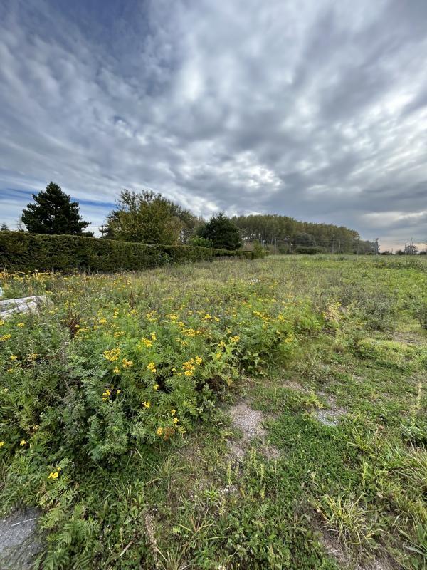 Terrain constructible - 883 m²