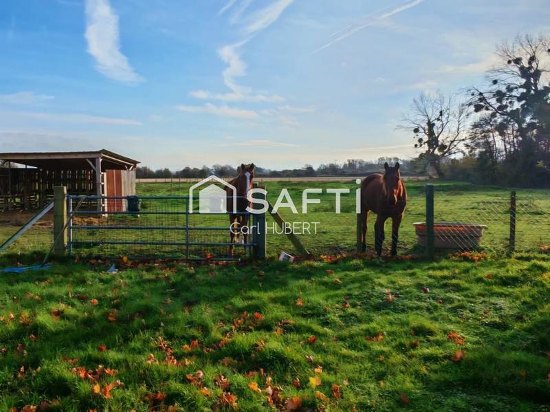 Maison - 131 m² - 6 pièces