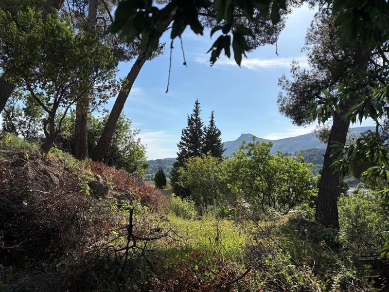 Terrain constructible - 1 311 m²