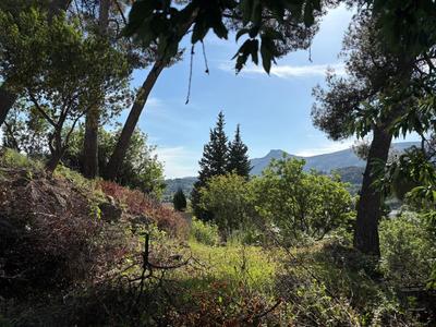 Terrain constructible - 1 311 m²