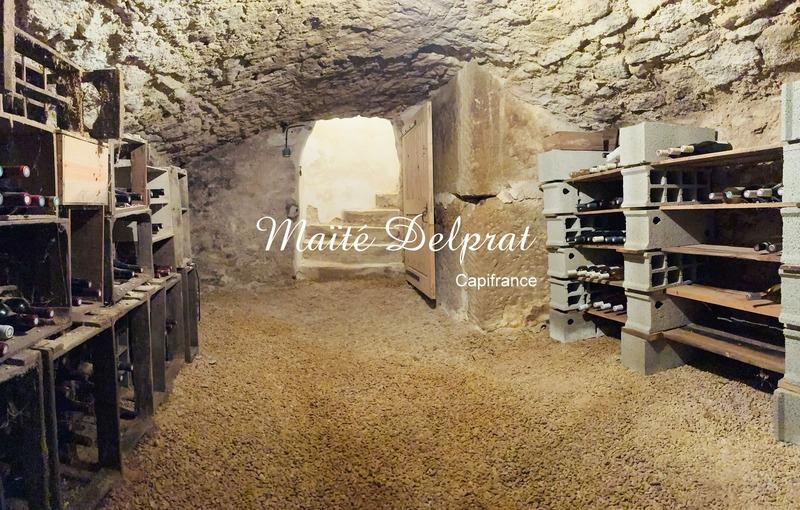 Maison - 262 m² - 9 pièces