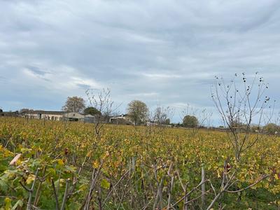 Terrain constructible - 286 m²