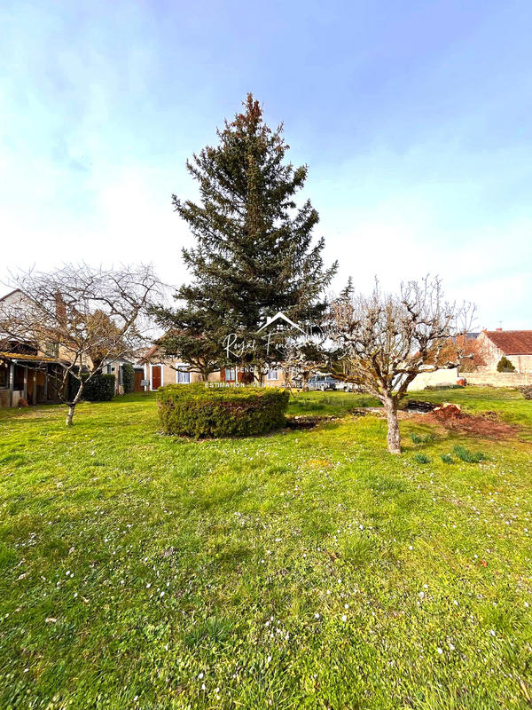 Maison ancienne - 110 m² - 6 pièces