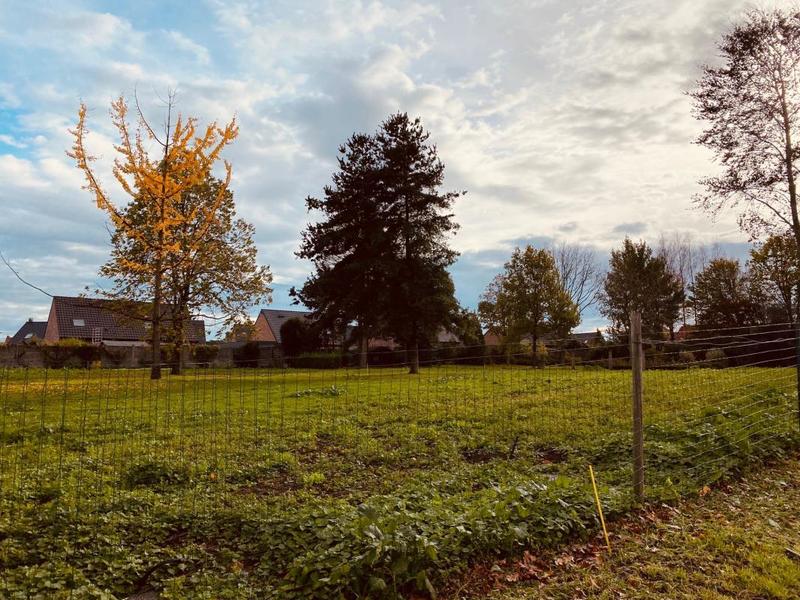 Terrain constructible - 524 m²