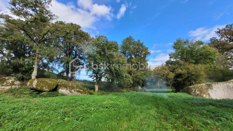 Maison - 150 m² - 8 pièces