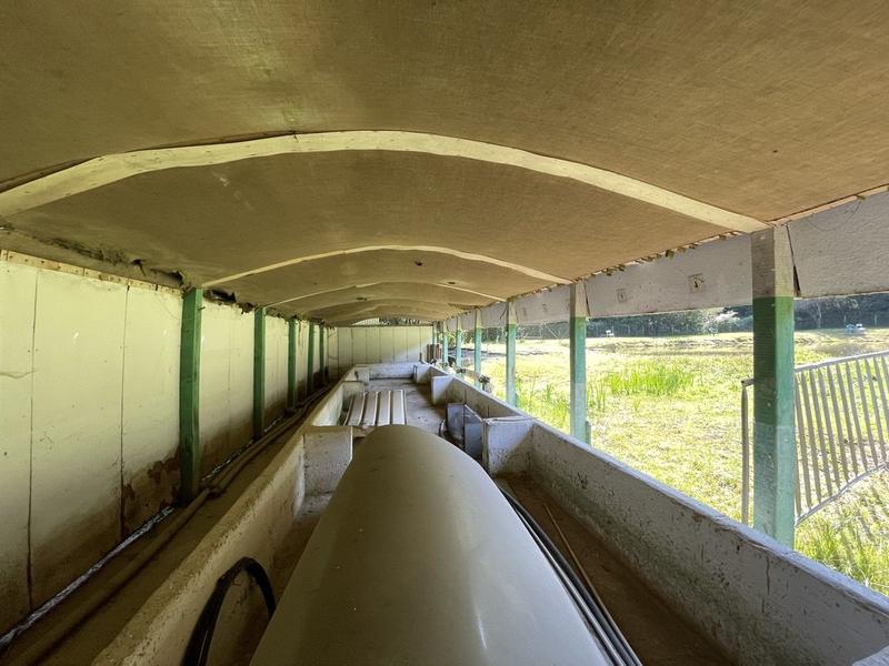 Maison ancienne - 50 m² - 3 pièces