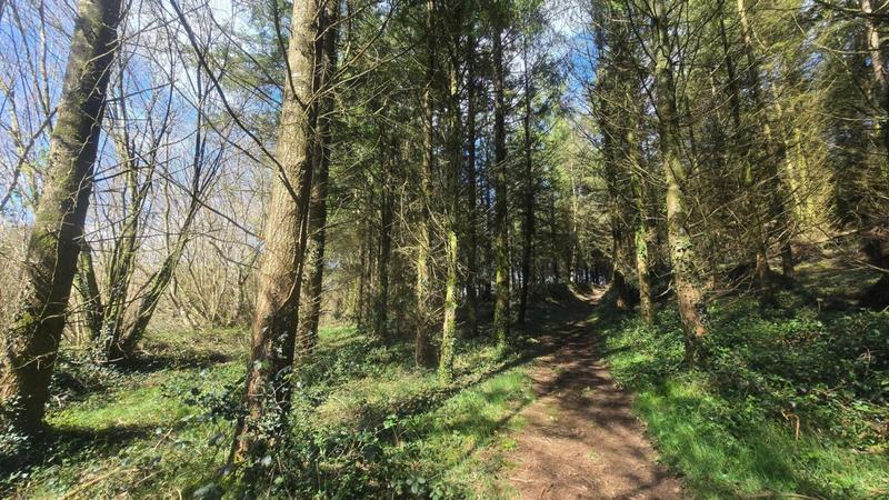 Terrain agricole - 5 600 m²