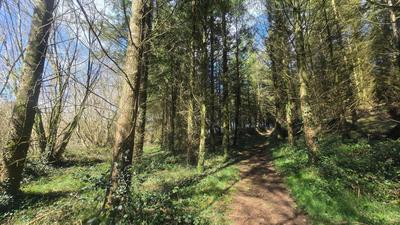 Terrain agricole - 5 600 m²