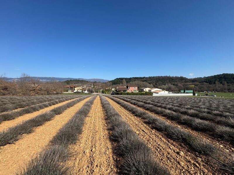 Terrain constructible - 778 m²